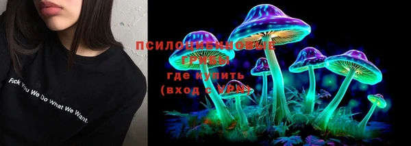 меф Инсар