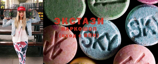 ECSTASY Каменка