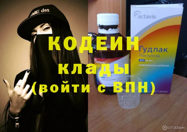 СК Иннополис