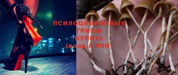 меф Инсар